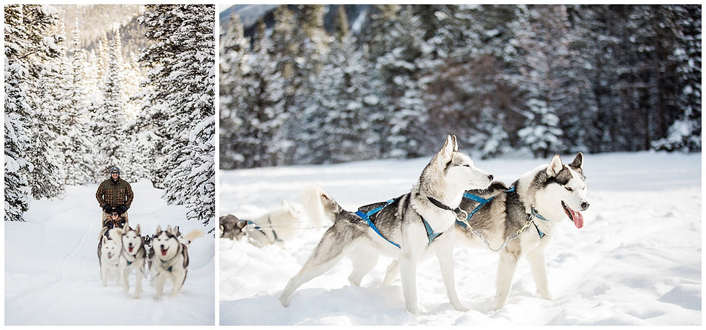 collage of Breckenridge Winter Activities including dog sledding with huskies