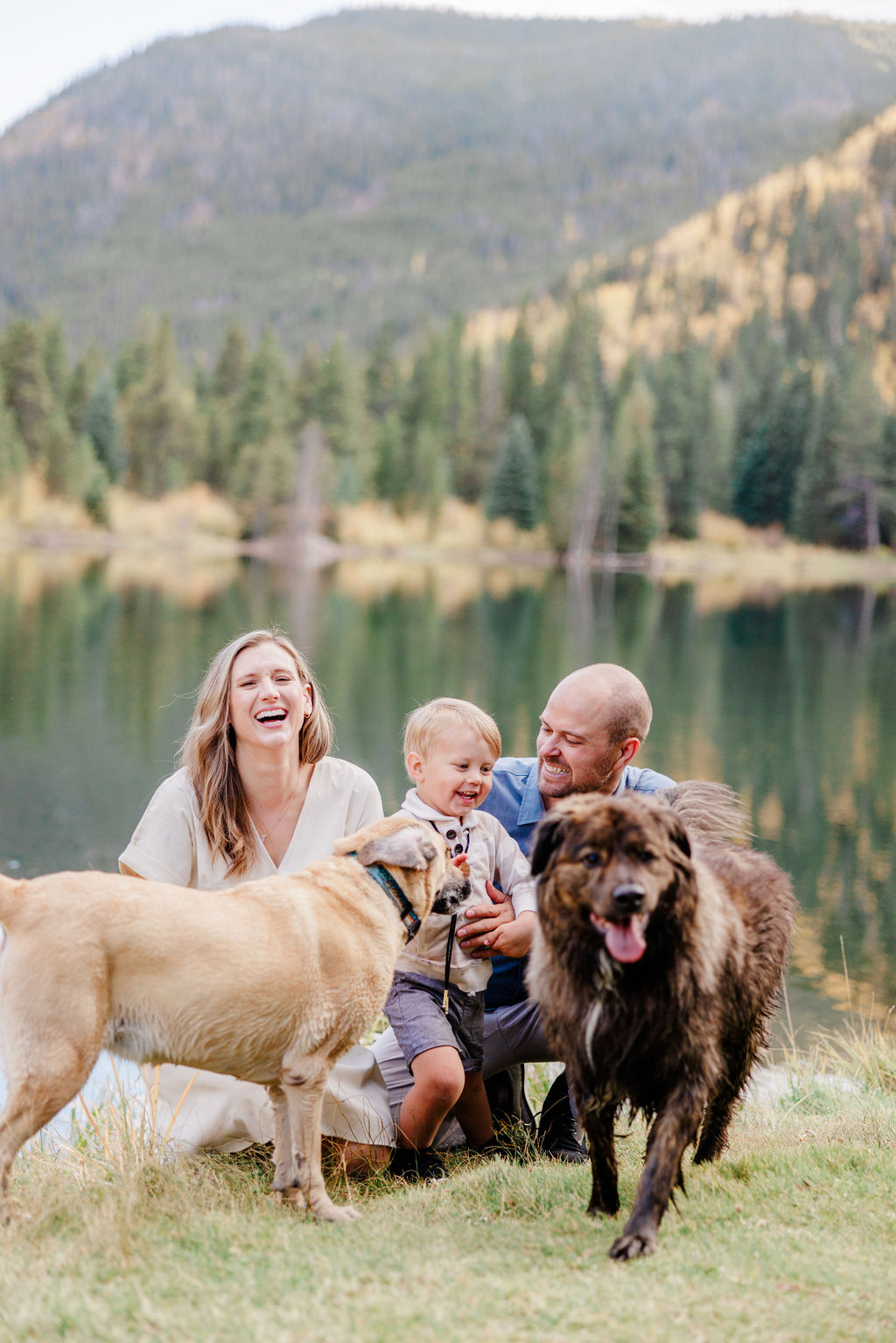 A happy mom and dad play on a lakeshore with their toddler son and two dogs