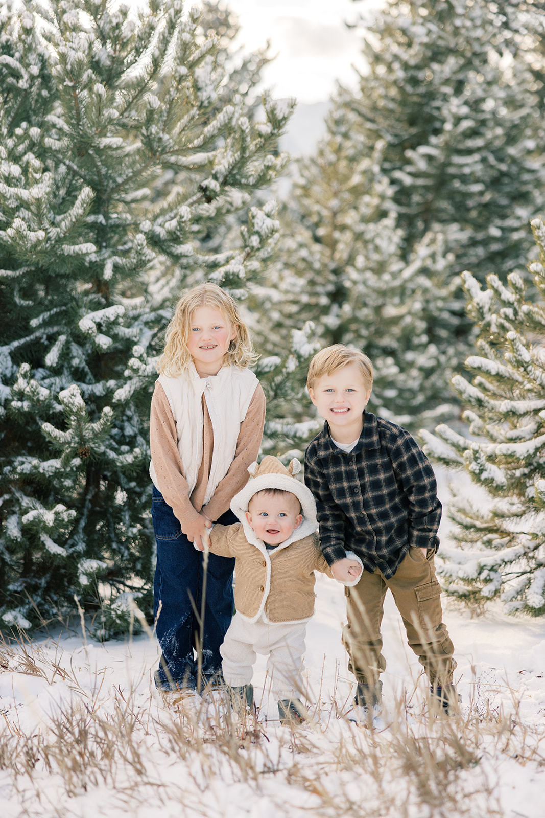 Three toddler cousins laugh and play in the snow in a pine forest