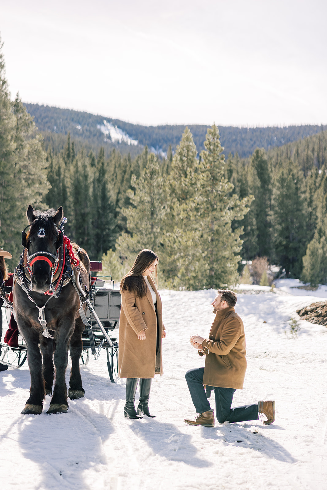 A man in a tan coat proposes on one knee to his standing girlfriend in a mountain trail covered in snow by a horse